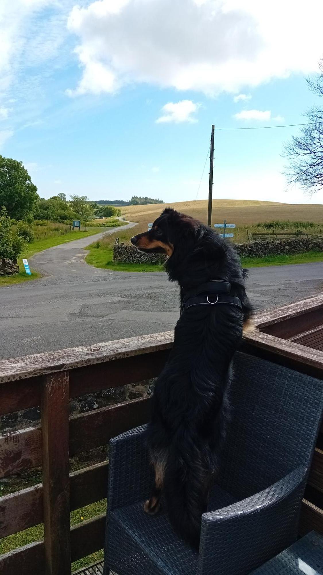 Baytree Lodge At Three Lochs Holiday Park, New Ask About Our Packages Birthday ,Anniversary,Family,Pamper Packages Available Balminnoch Exterior foto
